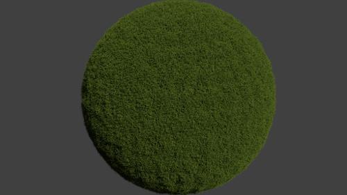 Ball of Grass preview image